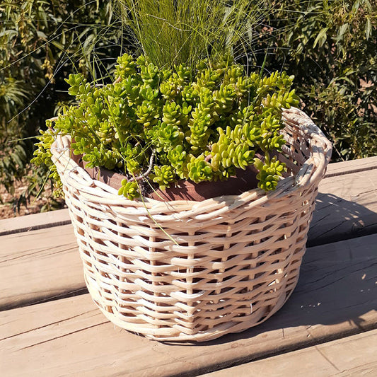 Cesta de mimbre pequeña